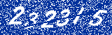 Capcha image