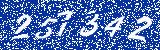 Capcha image
